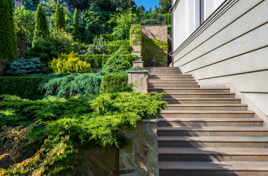 Budget-Friendly Sloped Front Yard Ideas: Enhancing Curb Appeal with Creative Design