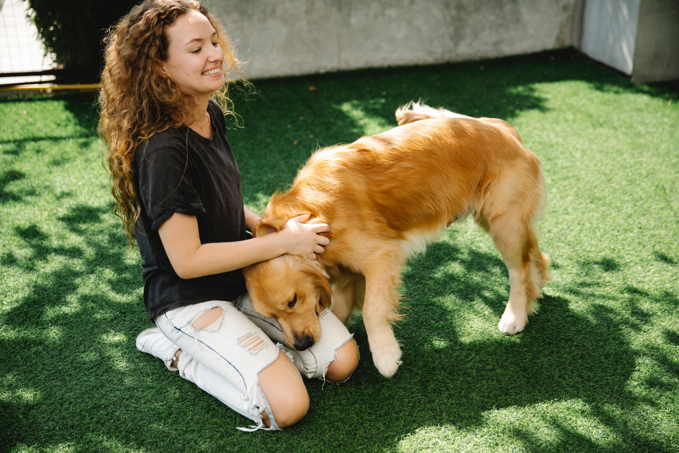 Dog Friendly Yard, No Grass – Less Lawn