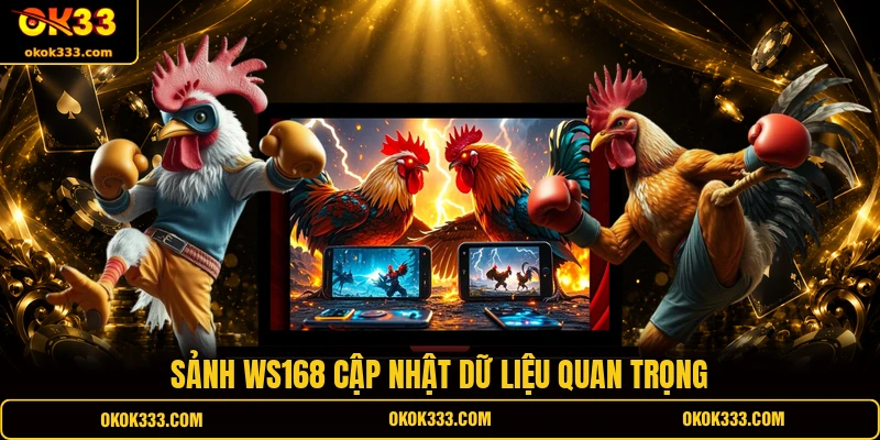 Sảnh WS168 cập nhật dữ liệu quan trọng